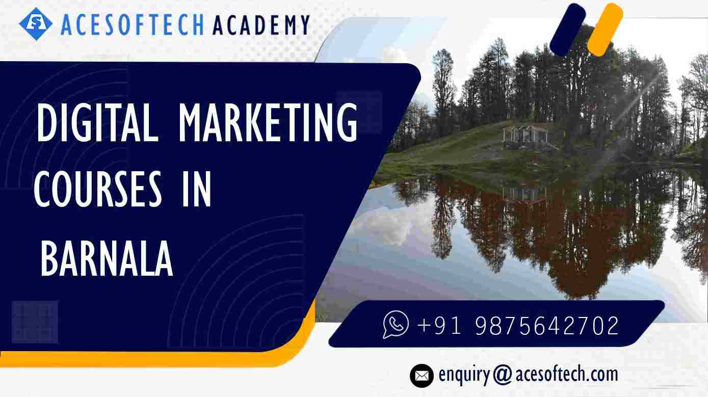Digital Marketing Training course institute in Barnala