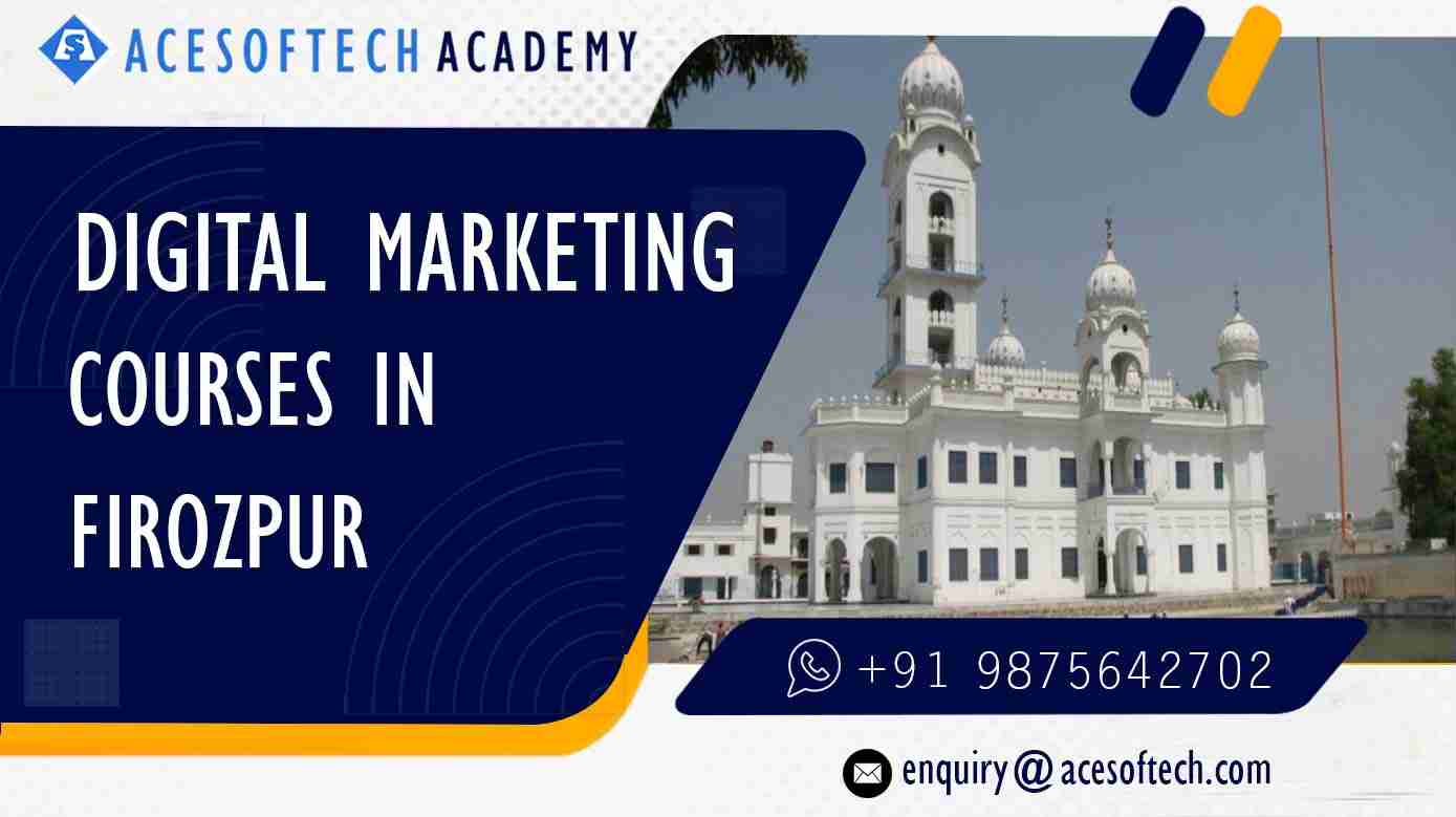 Digital Marketing Training course institute in Firozpur