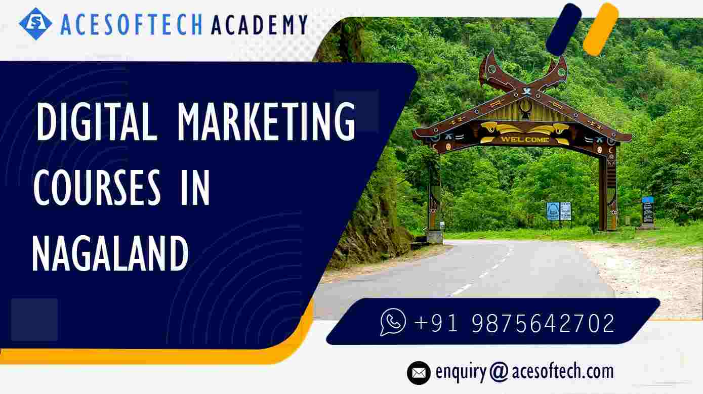 Digital Marketing Course in Nagaland