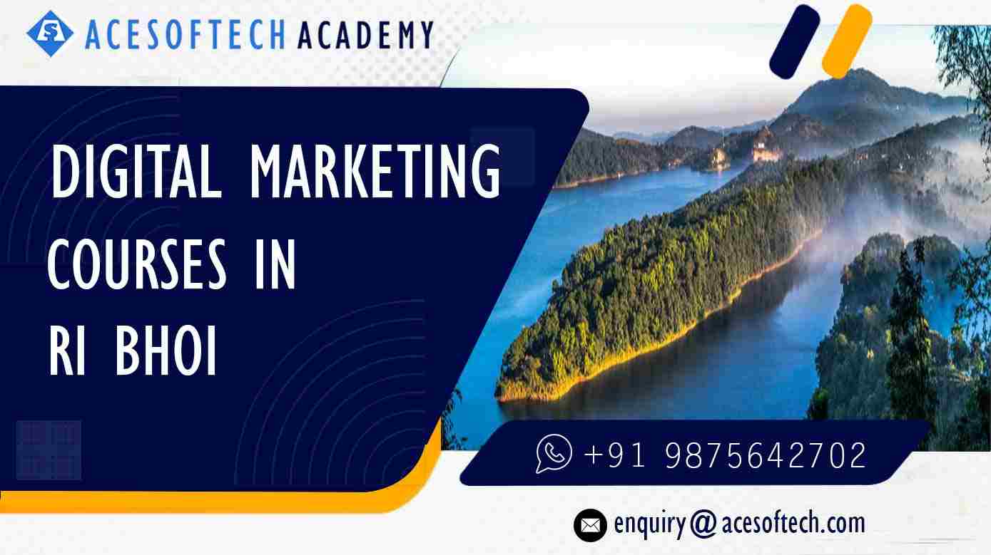 Digital Marketing Course in Ri Bhoi