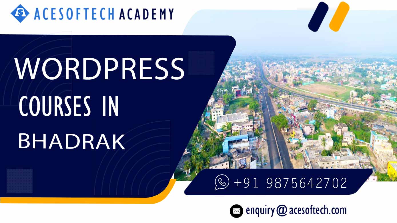 WordPress Course Training Institue in Bhadrak