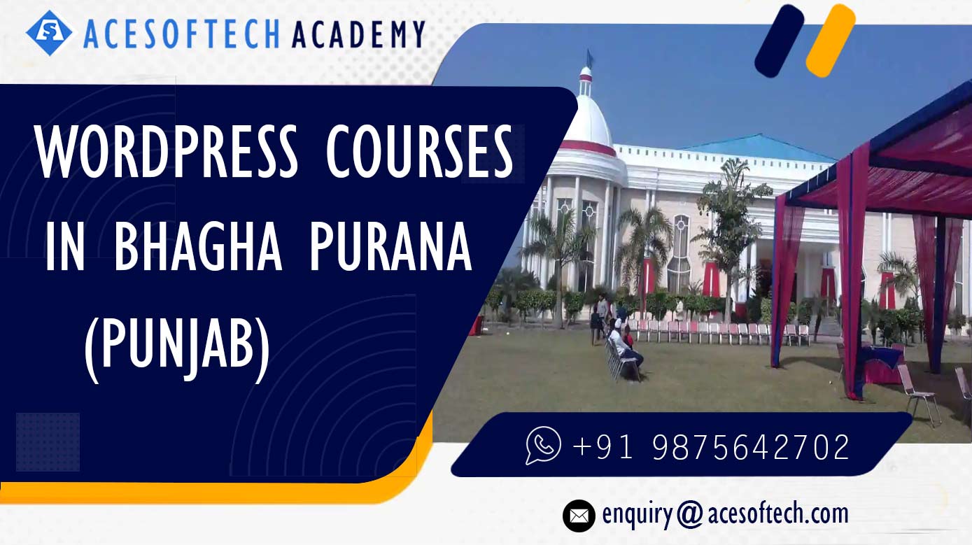 WordPress Course Training Institue in Bhagha Purana