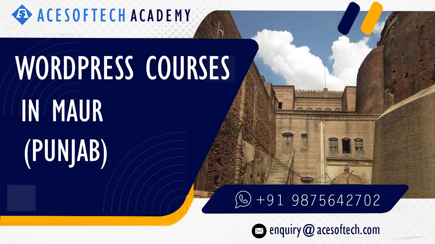 WordPress Course Training Institue in Maur