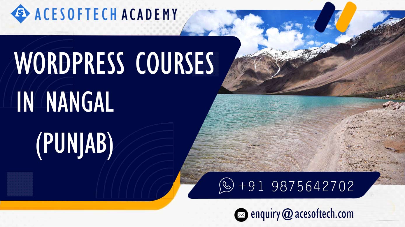 WordPress Course Training Institue in Nangal