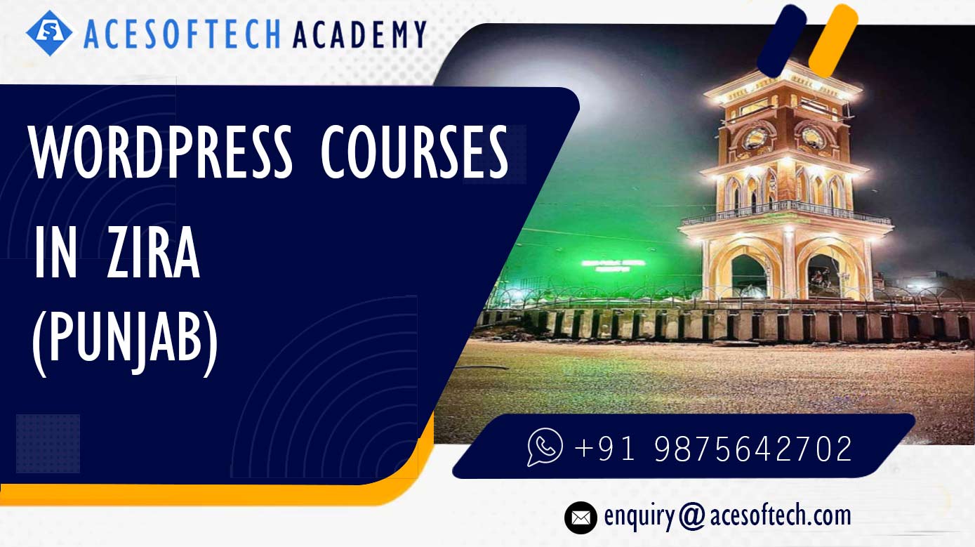 WordPress Course Training Institue in Zira