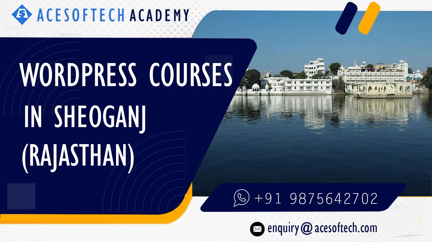 WordPress Course Training Institue in Sheoganj