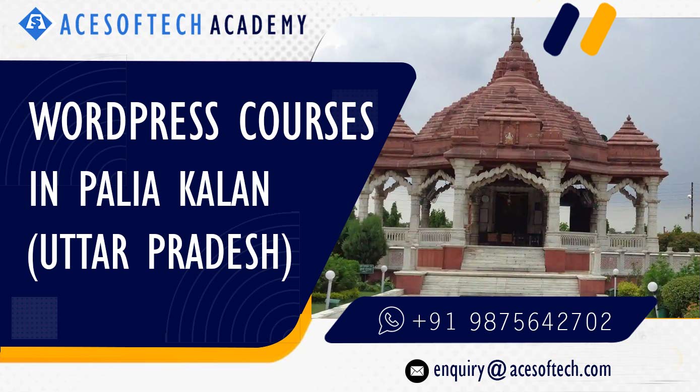 WordPress Course Training Institue in Palia Kalan