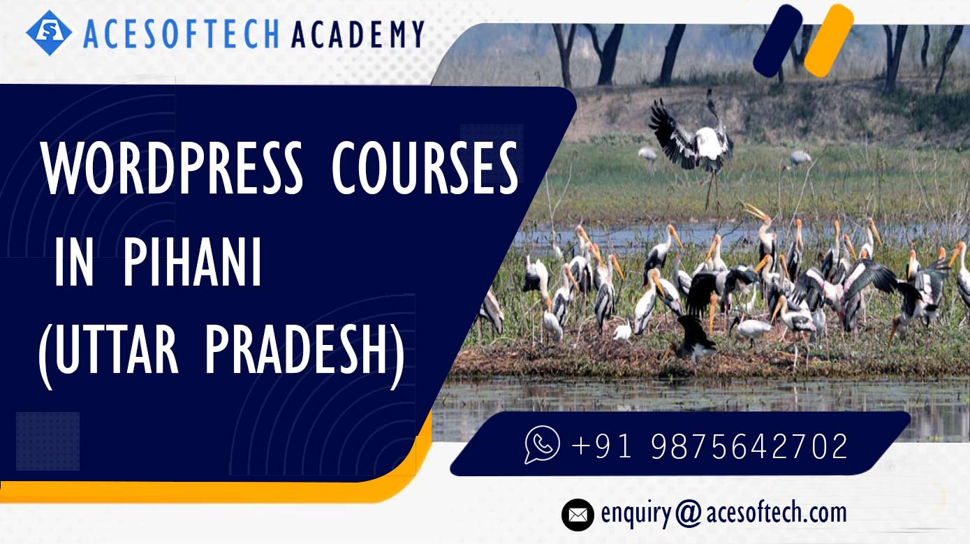 WordPress Course Training Institue in Pihani