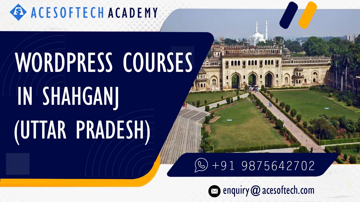 WordPress Course Training Institue in Shahganj