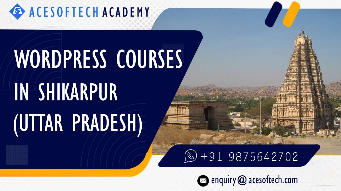 WordPress Course Training Institue in Shikarpur