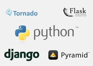 Python web development